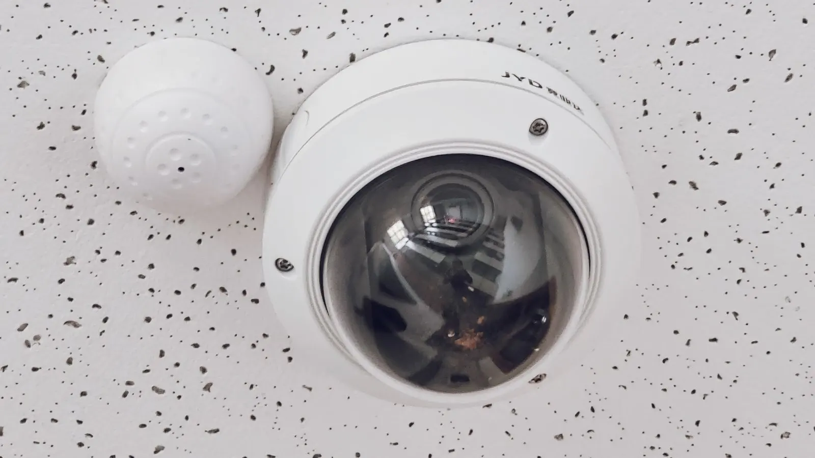 They cover the camera first. Would you know? — PGAK Insights cover image